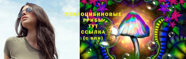 2c-b Зерноград