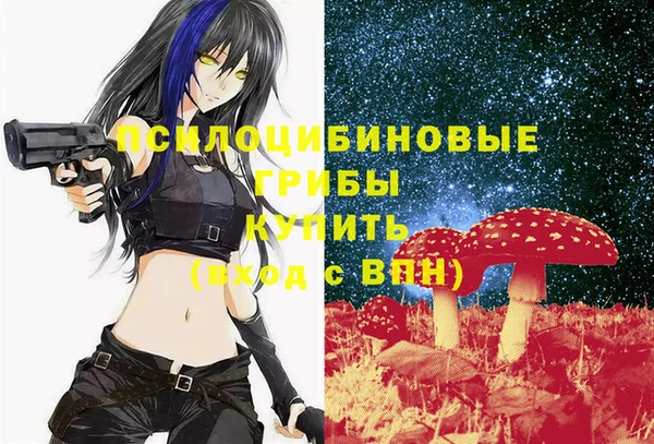 дурь Зеленодольск
