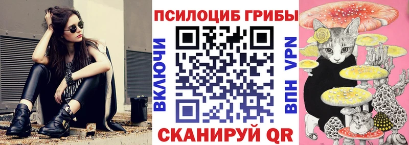 Псилоцибиновые грибы Psilocybine cubensis  Кандалакша 